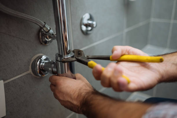 Best Clogged Drain Plumber  in Benton Harbor, MI